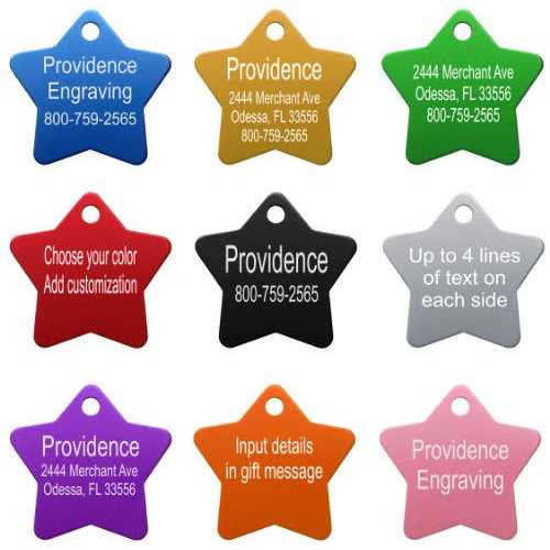 Pet ID Tags in 8 Shapes, 8 Colors, and Two Sizes R51011